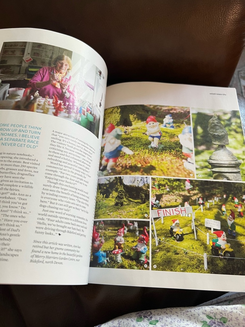 Homebird Magazine - Picture 6 of 14